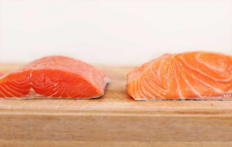 Perbedaan gradasi warna ikan salmon liar dan hasil peternakan (Photo, oecfood)