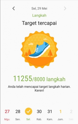     Lumayan jelajah Bogor dapat 11 ribu langkah (dokpri)