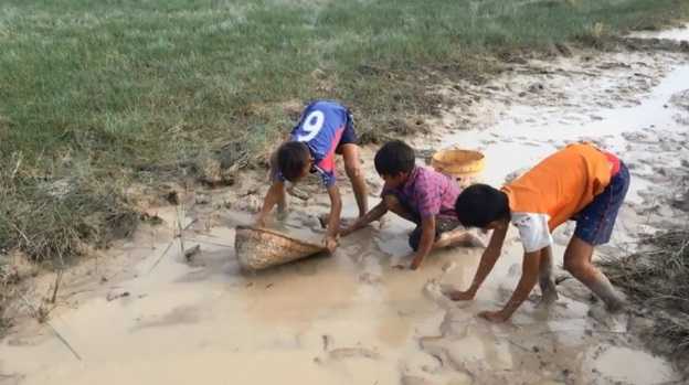 Mencari ikan dengan tangan yang di kampong saya dikenal dengan nama 