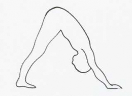 anmolmehta.com/hatha-yoga-position