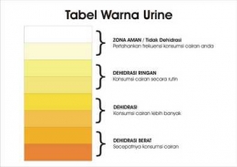 Warna urin. Sumber: dictio.id
