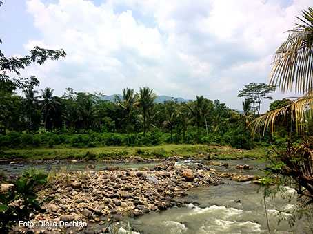 Sungai Cidurian di Desa Kalong Sawah, sungai cantik yang sayangnya kotor