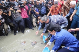 SBY dan Ibu Ani melepas tukik. dok.pri
