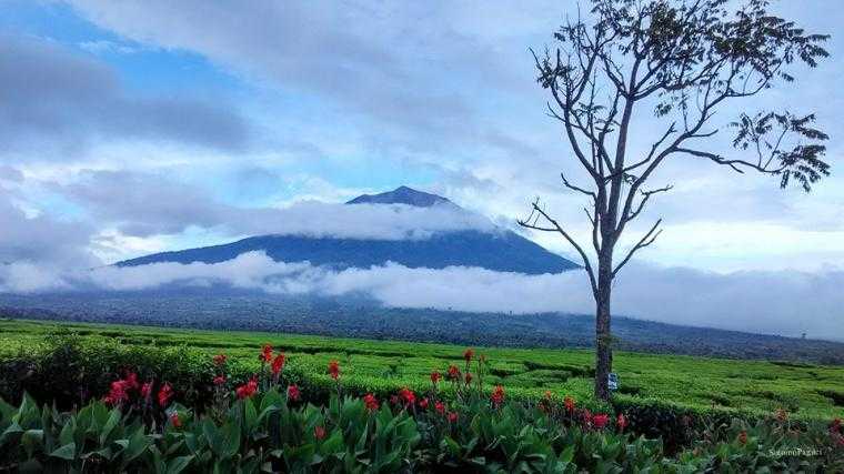 Salah satu dari tujuh puncak tertinggi di Indonesia (Dokpri)