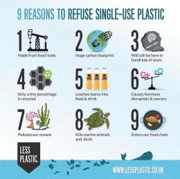 Pentingnya daur ulang plastik (lessplastic.co.uk)