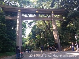 Dokumentasi pribadi | Gerbang Torii setinggi 12 meter dari pohon Cemara Hiroki, dan tiangnya berdiameter sekitar 1,2 meter