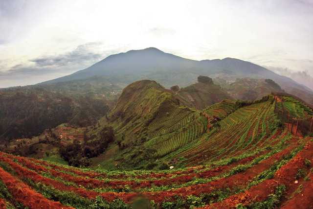 Dari atas bukit Panyaweuyan terlihat Gunung Ciremai (dok.pri).