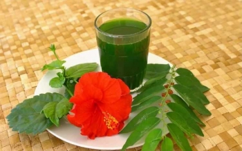 Hasil gambar untuk loloh bali