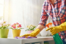 Beautiful young woman makes cleaning the house.Girl rubs dust. (thinkstock)