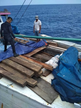 KLHK Gagalkan Penyelundupan Opsetan Satwa Dilindungi di Papua(dok/Humas KLHK)