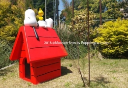 "Rumah merah" Snoopy dengan Woodstick yang sedang besantai di Museum Snoopy. Dokumentasi pribadi