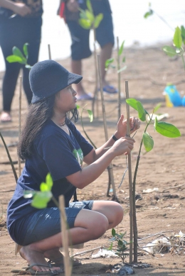 Salah satu peserta sedang menanam mangrove.