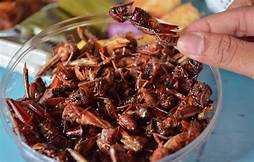 Walang Goreng. Sumber: hello-pet.com
