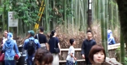 Umat Muslim berlebaran di hutan bambu Kyoto (dok.pri.)