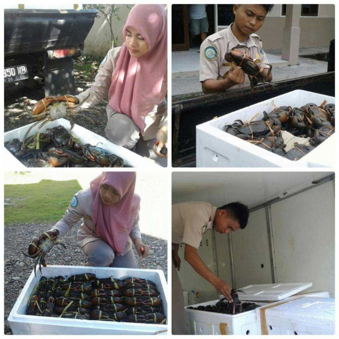 Dok: BKIPM Jayapura Twitter