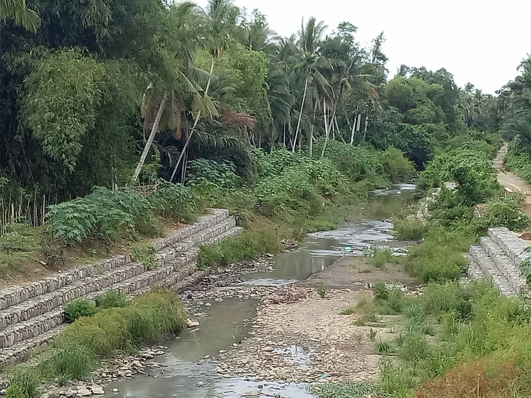 Kondisi sungai Paya kekurangan debit air sejak tiga bulan terakhir yang menyebabkan sejumlah lahan sawah warga tidak dapat dialiri air di Kabupaten Pidie Provinsi Aceh, 20/6/2018 (Dokumentasi Pribadi) 