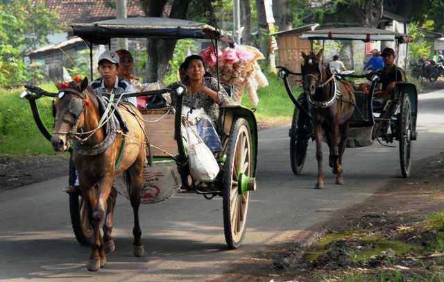 Ilustrasi - Dokar, alat angkut tradisional ini sering kami pakai dari Stasiun Genteng, Banyuwangi ke rumah kakek. 