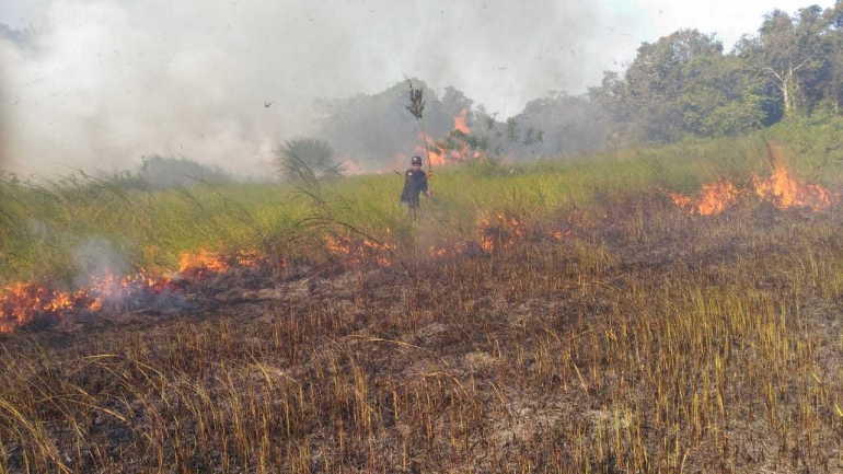 Bersama Masyarakat Cegah Karhutla Di Taman Nasional Rawa Aopa Watumohai (dok/HumasKLHK)