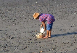 Sorni sedang memilah batu sikas di pantai Beraban.(Foto Dokumentasi Wayan Budiartha)