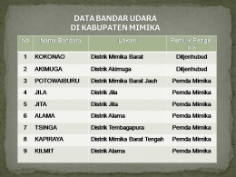 Data Bandar Udara di Kabupaten Mimika