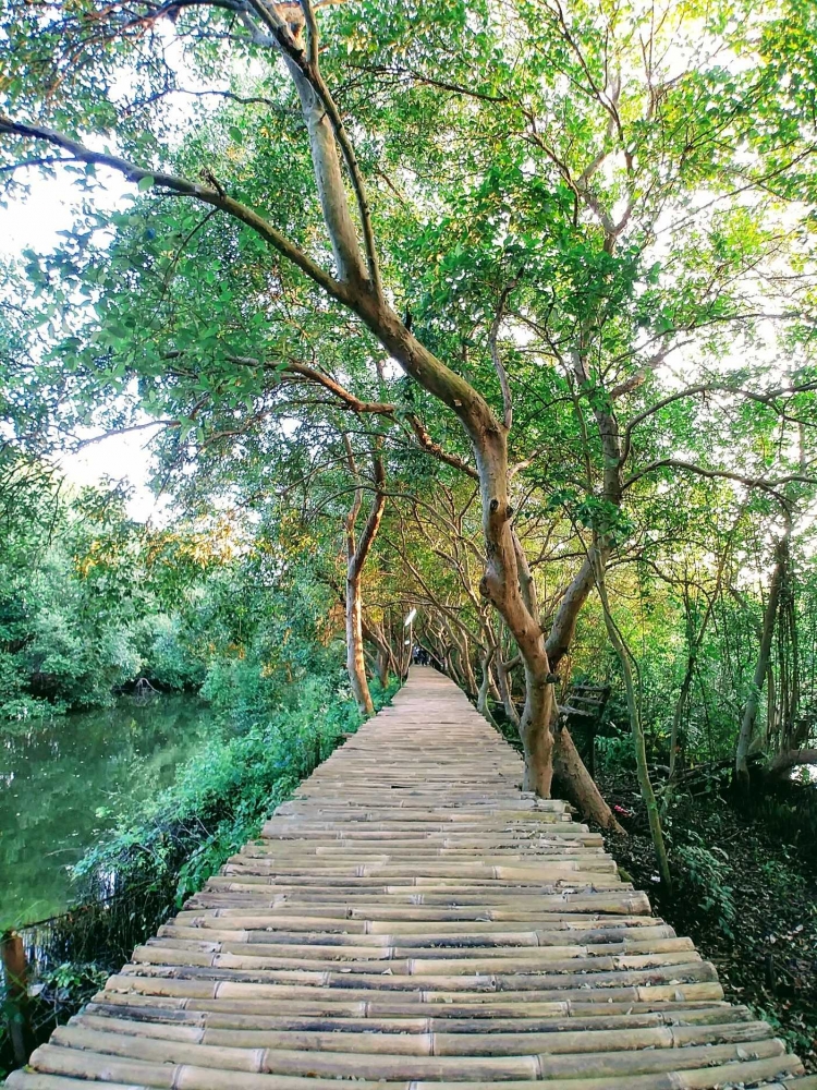 Mari Menjelajah di Hutan Bakau! Sumber: Dok. Pribadi