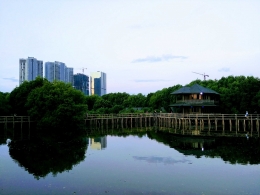 Pemandangan Kota Jakarta dari Taman. Sumber: Dok. Pribadi
