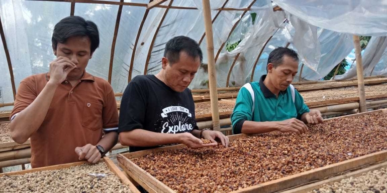 Bersama mas Fajar memilih biji kopi ./ foto pribadi