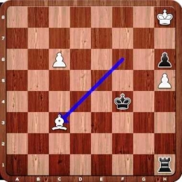 Messi Cedera (chess.com)