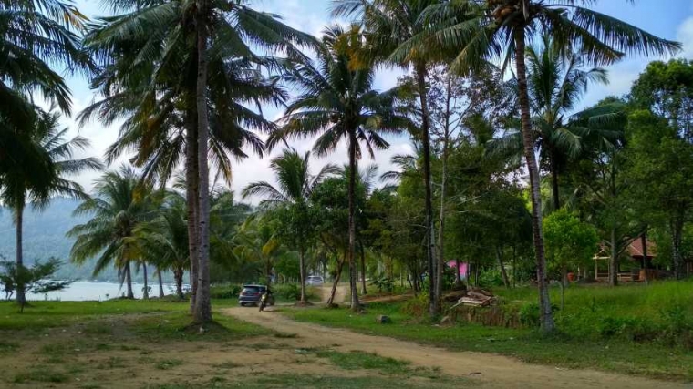 Pantai Mutiara Surga Tersembunyi Di Pantai Selatan Trenggalek