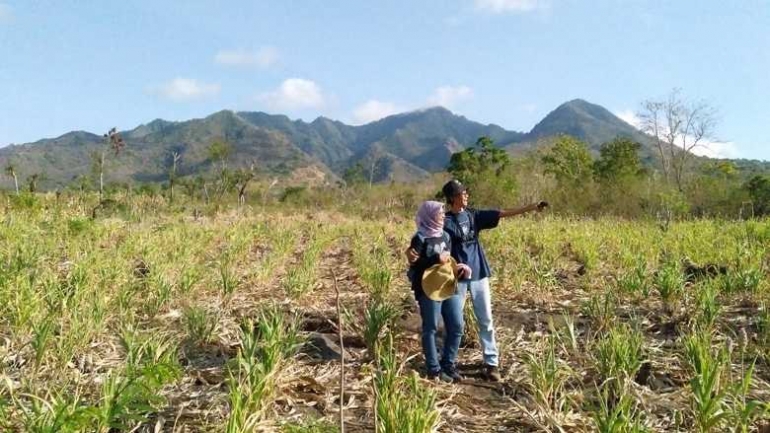 Berfoto (bukan) Prewed di ladang sorgum, Oom Aryo dan Tante Ridha. (Foto: Gapey Sandy)