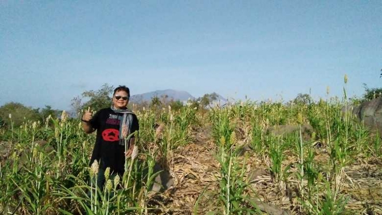 Berfoto di lahan kebun sorgum yang kering dan bebatuan di Dusun Likotuden. (Foto: Gapey Sandy)