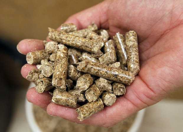 Ilustrasi Pelet Kayu - foto: forestforlife.web.id