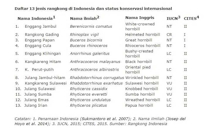 Capture data dari nasib kelam rangkong antara perburuan dan jasa yang terlupakan. Data dok. mongabay Indonesia