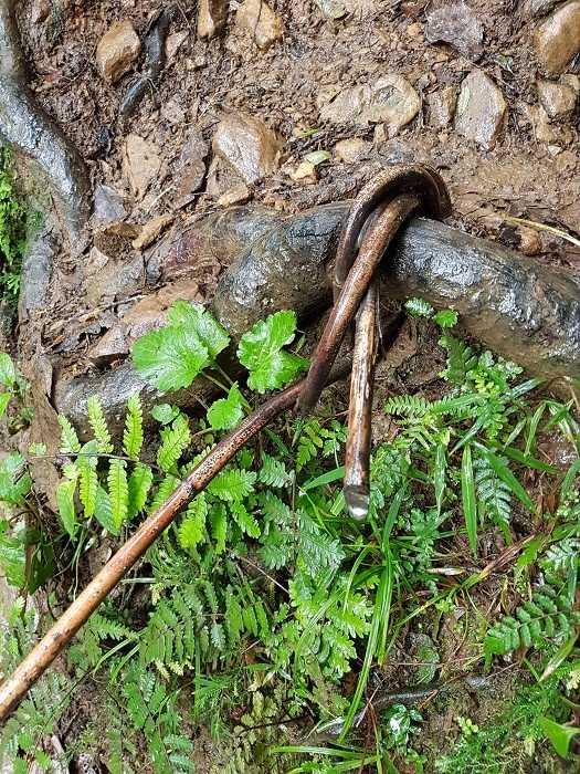 Jatuh Hati Dengan Pesona Gunung Latimojong
