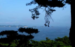 Salah satu sudut pemandangan Matsushima (Dokumentasi Pribadi)