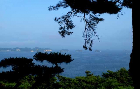 Salah satu sudut pemandangan Matsushima (Dokumentasi Pribadi)