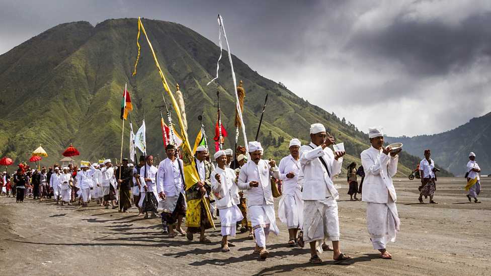 Belantara Hutan Taman Nasional Bromo Tengger Semeru, Jantung Kehidupan ...