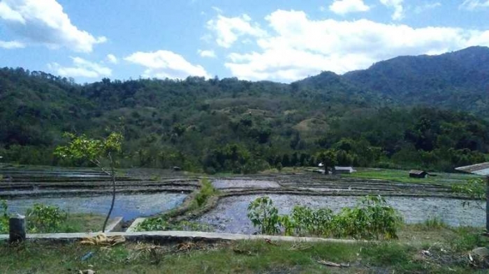 Rumah Adat Wologai yang Memuliakan Mama oleh Gapey Sandy 