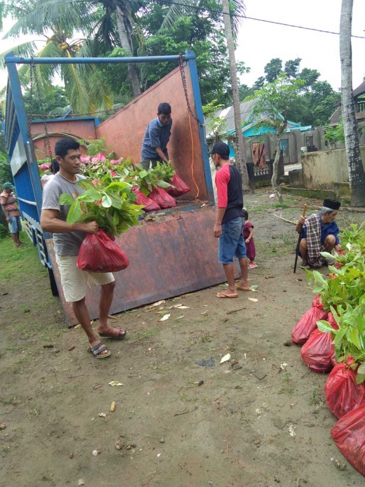 Petani hutan semangat membantu menurunkan bibit yang baru datang (sumber foto: haji jumaring)