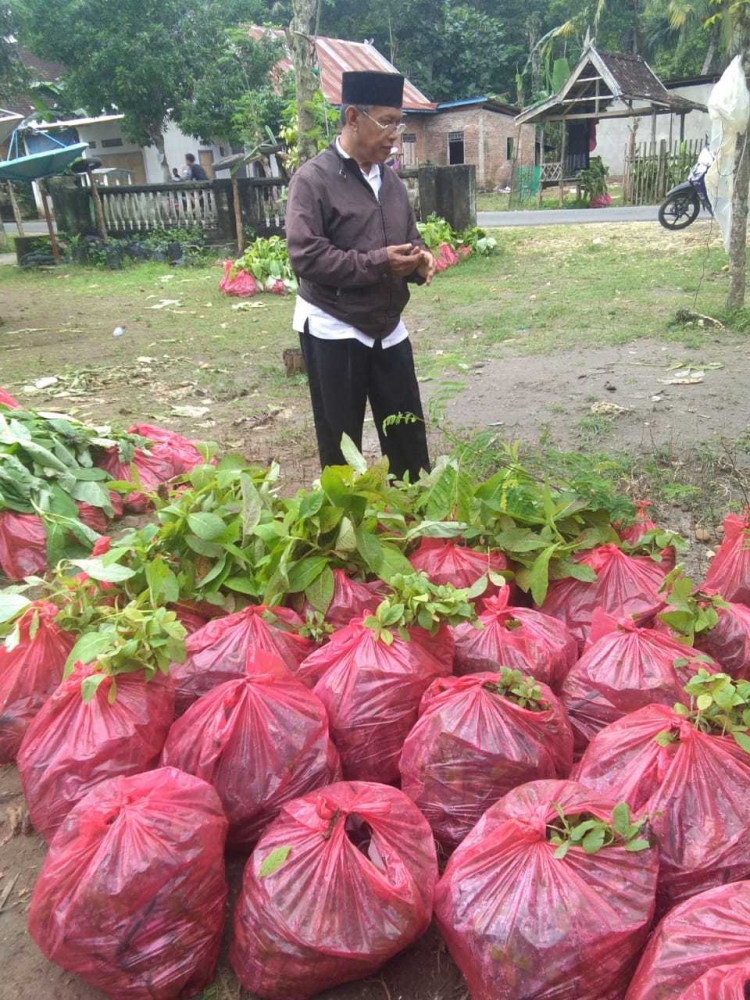 Sekretaris HIPKI sedang memeriksa bibit yang akan didistribusikan kepada kelompok2 tani (sumber foto: Haji Jumaring)