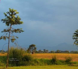 Bandung Timur , Puisi Senjakala, Foto by masrierie Kompasiana 