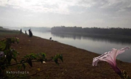 Semburat warna ungu dari bunga liar tepi waduk, sungguh suatu kemewahan bagi saya. (Dokpri).