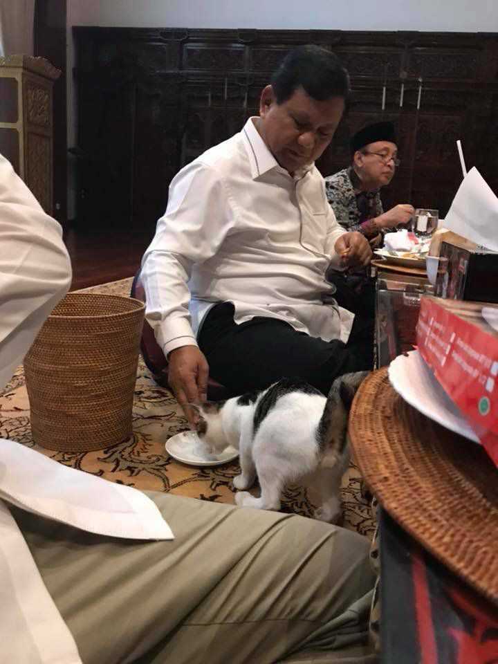 Sikap humanis Prabowo beri makan kucing peliharaannya. Foto: Isitmewa