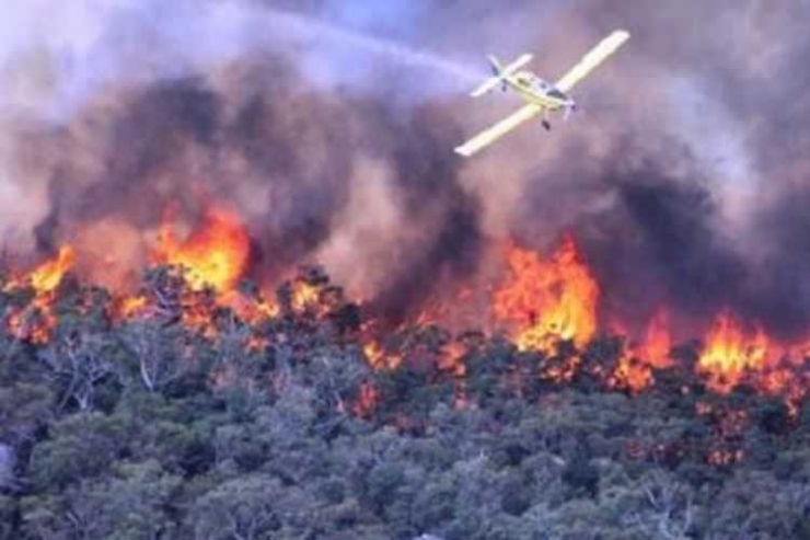 Ilustrasi kebakaran hutan dan lahan. Foto dok. Kompas Regional
