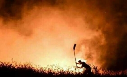 Petani Israel coba memadamkan api (dok.middleeast.net) 