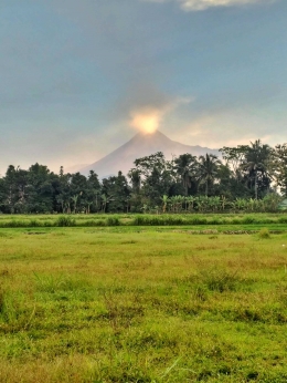 Pemandangan Gunung Merapi dari Warung Kopi Klotok. Kebetulan pada pagi itu Merapi tengah erupsi | Dokumentasi pribadi
