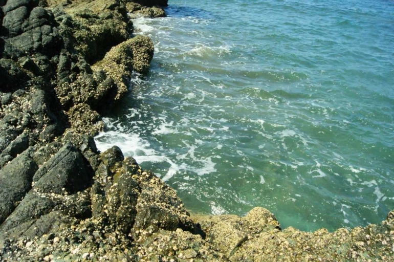Batu karang memagari Pantai Poto Batu (dok. pri).