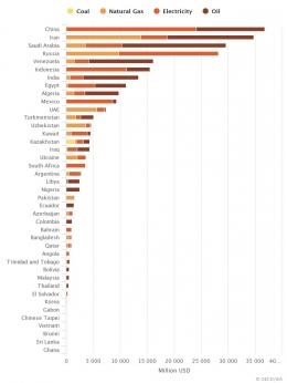 Energy Subsidy by Country