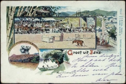 Salah satu ilustrasi pada kartu pos era Hindia-Belanda yang menggambarkan tradisi rampogan macan di tanah Jawa. sumber: koleksi arsip Tropenmuseum