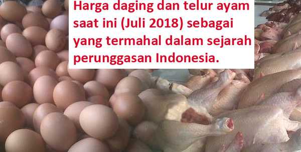 Harga termahal (Juli 2018) dalam sejarah perunggasan Indonesia (Dok.Pribadi)